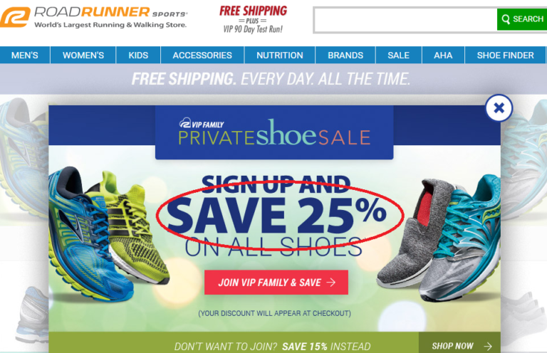 Google ecommerce AdWords Landing Page Example - AOK Marketing