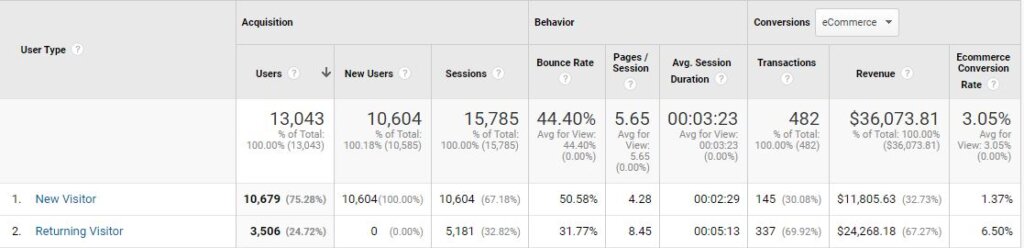 Google Analytics Audience Overview