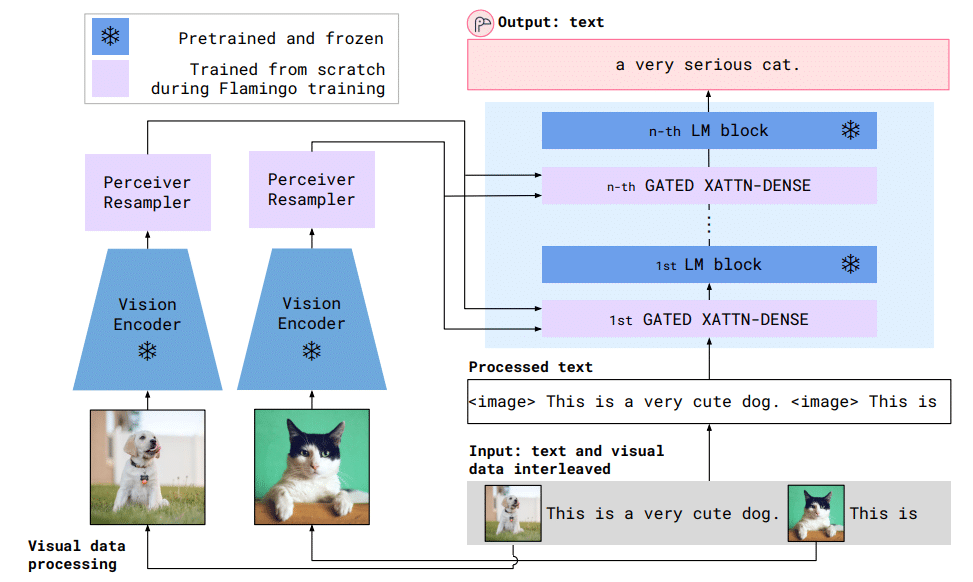 An Image of the process to have a visual model recognize images of cats.