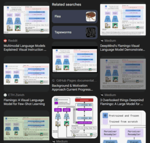 Image of DeepMind’s Flamingo Visual Language Model Demonstrates SOTA Few-Shot Multimodal Learning Capabilities