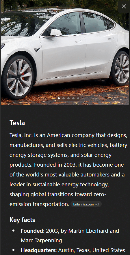 A screenshot of the Tesla Entity Panel in ChatGPT